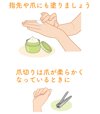 ハンドクリーム等で保湿する際に、指先や爪、爪の辺縁にも塗りましょう。爪切りは爪が柔らかくなっているときにしましょう。