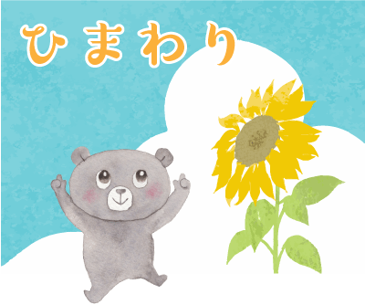 8月の定番の花といえば、ひまわりが一番に思い浮かびます