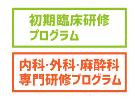 syoki-kouki_banner_2022.gif